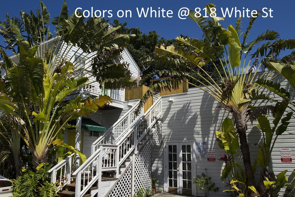 Colors On White Apartman Key West Kültér fotó